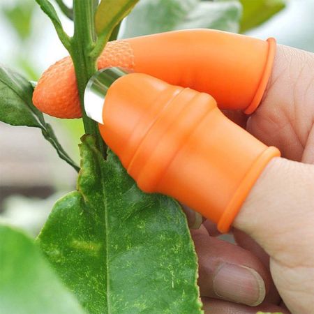 Vegetable Finger Cutter 5 Pcs Set