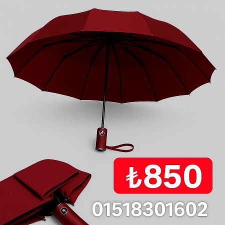 BMW 16 শিখ Umbrella (Meroon)