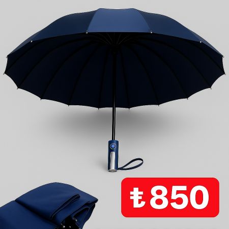 BMW 16 Ribs Umbrella (Blue)