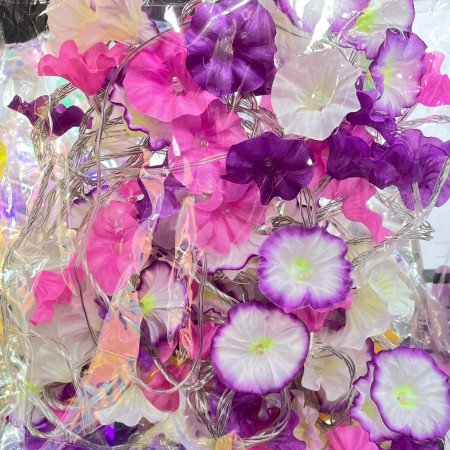Little Morning Glory String light